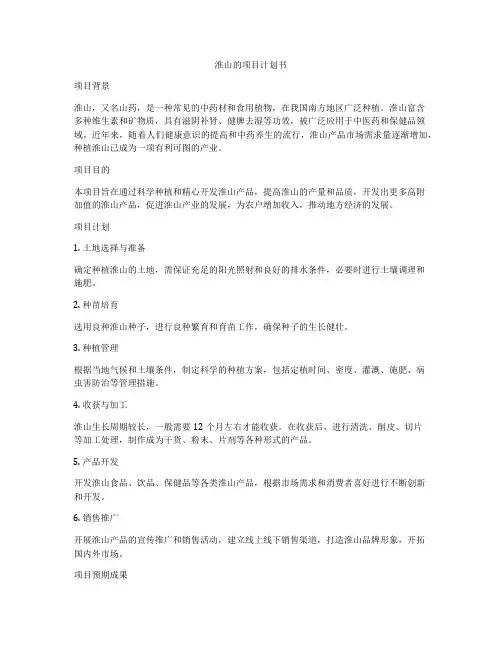淮山的项目计划书