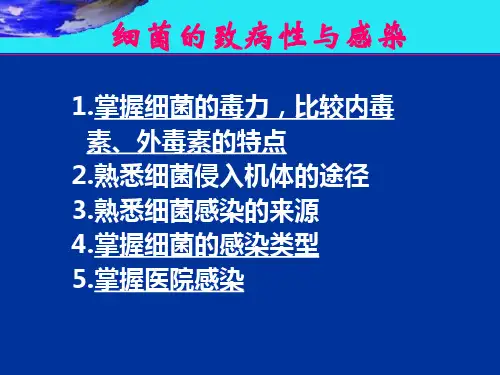 细菌的致病性与感染【24页】