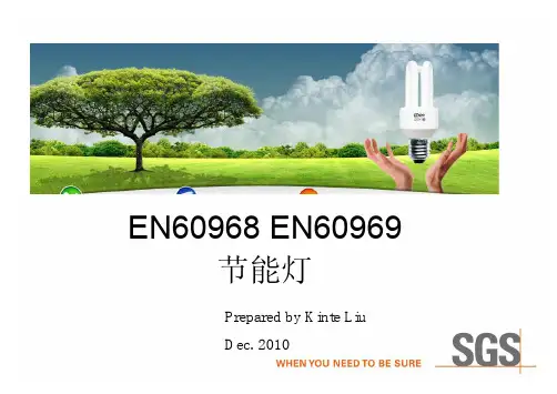 Energy saving lamp (EN60968)