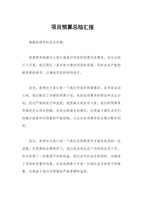 项目预算总结汇报