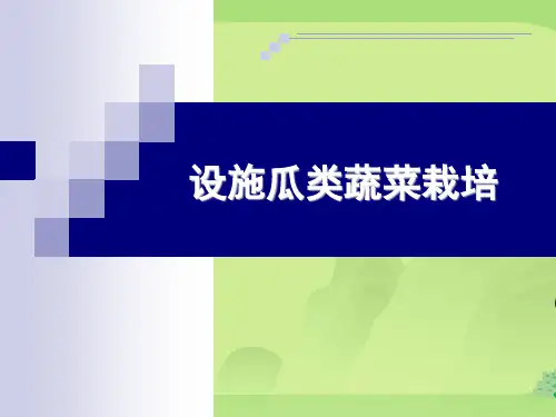 设施黄瓜栽培