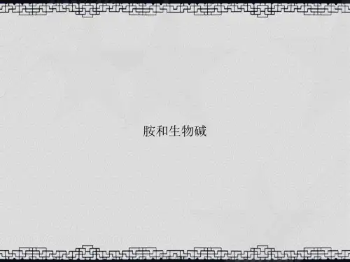 胺和生物碱2讲课文档