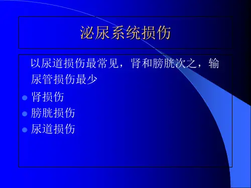 泌尿系统损伤_【PPT课件】