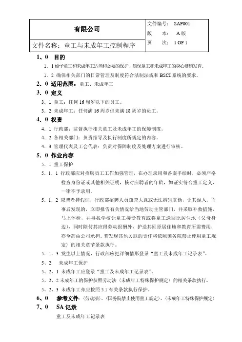 SA程序文件改