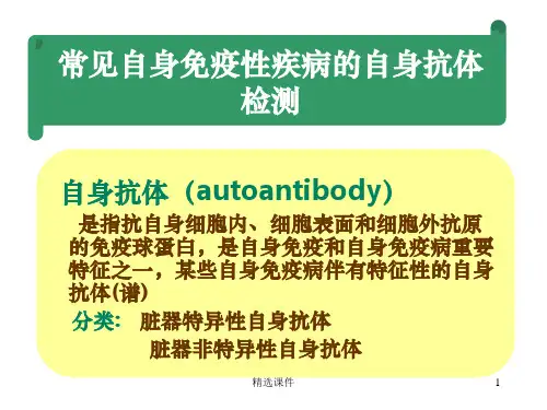 自身免疫性疾病及其免疫检测ppt课件