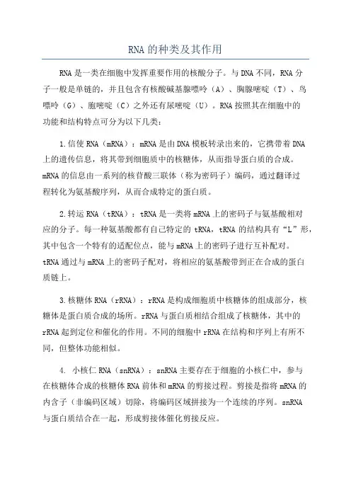RNA的种类及其作用