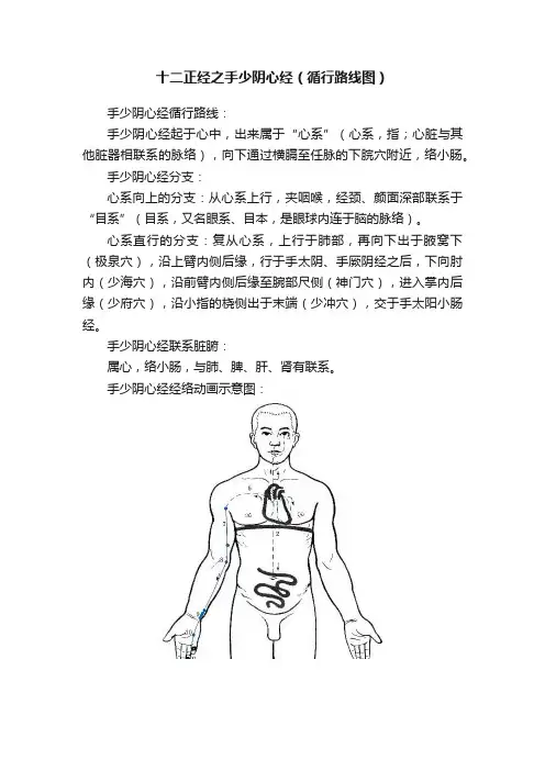 十二正经之手少阴心经（循行路线图）