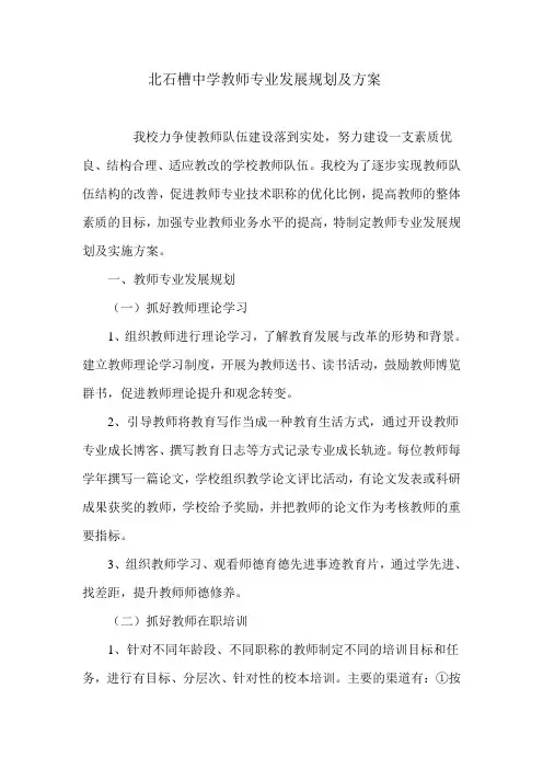 初级中学教师专业发展规划及方案