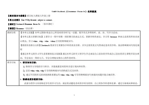 Unit9_SectionA(Grammar_Focus-3c)名师教案