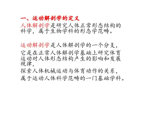 运动解剖学-绪论ppt课件
