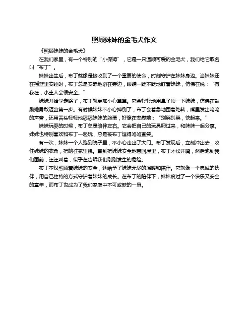 照顾妹妹的金毛犬作文