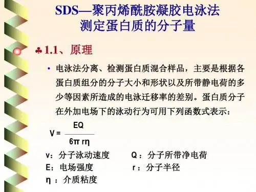 浙江大学生物化学实验甲 SDS—聚丙烯酰胺凝胶电泳法测定蛋白质分子量 共18页