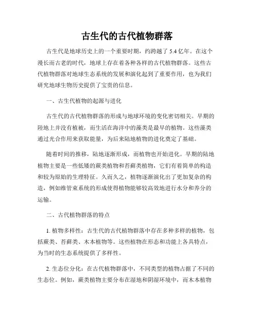 古生代的古代植物群落