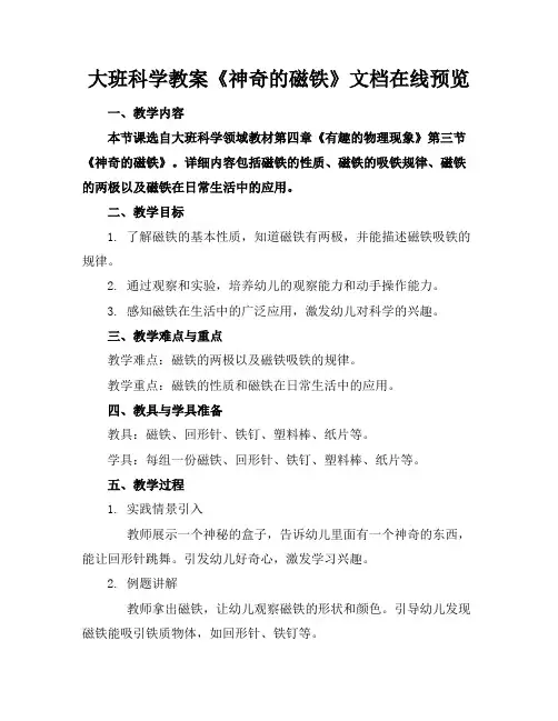大班科学教案《神奇的磁铁》文档在线预览