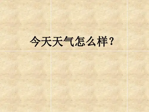 对外汉语《天气》