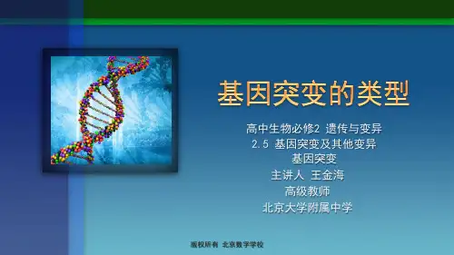 2基因突变的类型