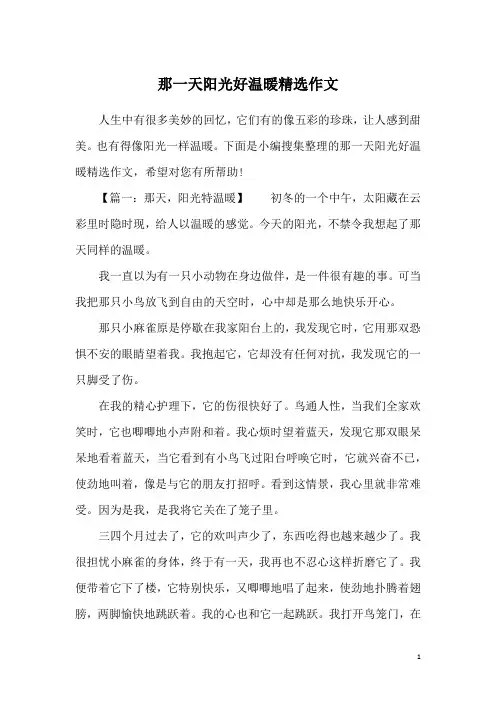 那一天阳光好温暖精选作文