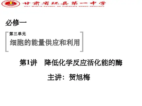 降低化学反应活化能的酶一轮复习课件PPT课件