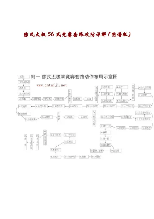 陈氏太极56式竞赛套路攻防详解(图谱版)