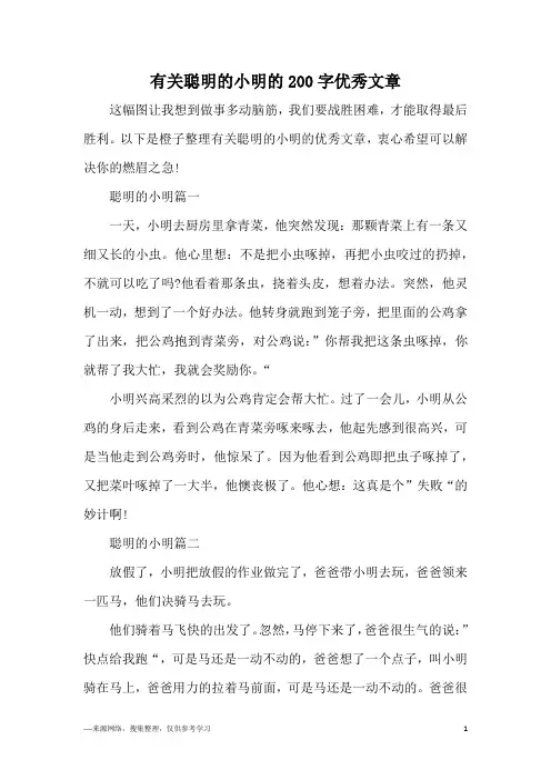 有关聪明的小明的200字优秀文章