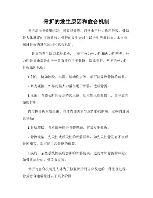 骨折的发生原因和愈合机制