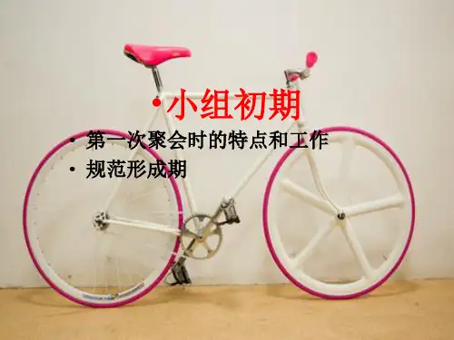 第七讲：小组初期
