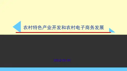 农村电子商务发展解决方案ppt课件