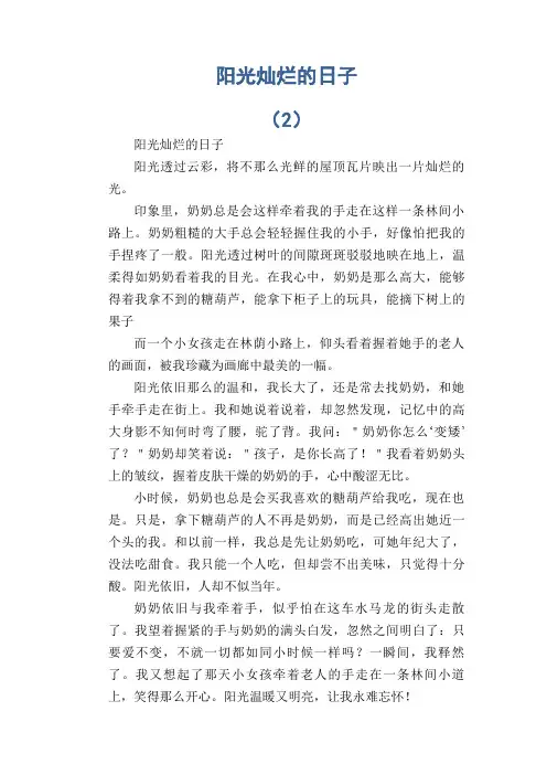 初中生满分作文：阳光灿烂的日子 (2)