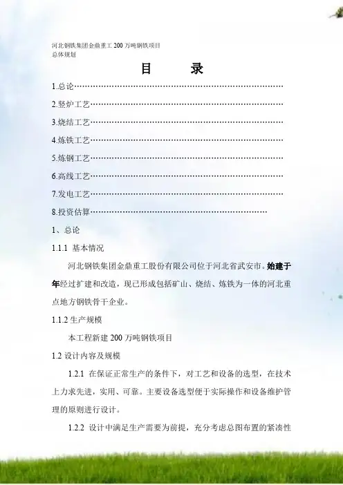 河北钢铁集团金鼎重工200万吨钢铁项目123456