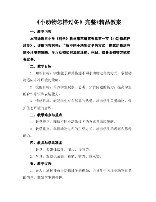 《小动物怎样过冬》完整+精品教案