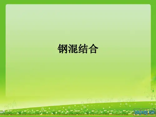 钢混结合ppt课件