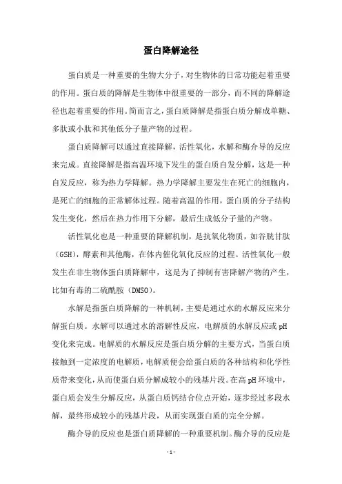 蛋白降解途径