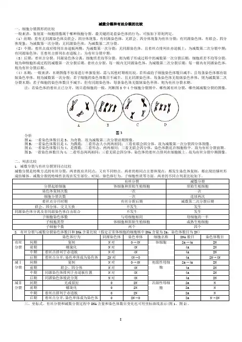 减数分裂和有丝分裂的比较