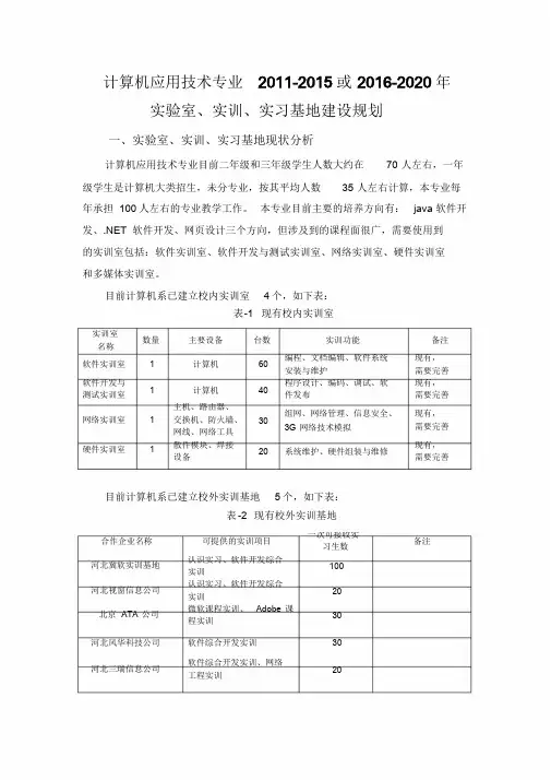 计算机应用技术专业十二五十三五实验室建设规划