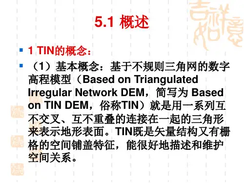 chapter5 不规则三角网tim建模