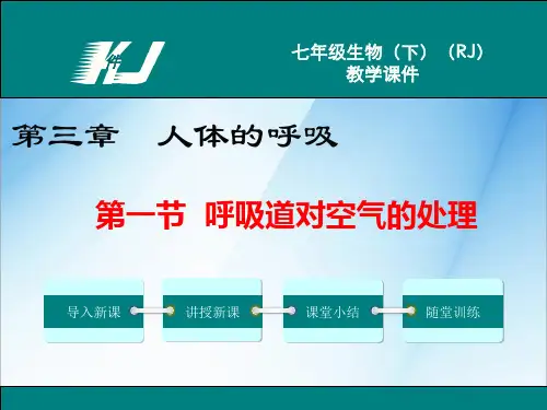 新人教部编版七年级生物下册第三章课件全套