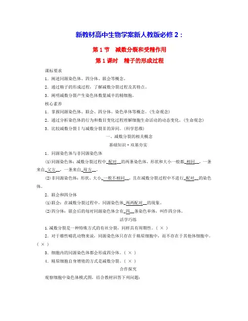 新教材高中生物第2章减数分裂和受精作用第1课时精子的形成过程学案新人教版必修2(含答案)