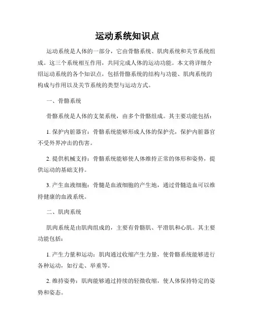 运动系统知识点