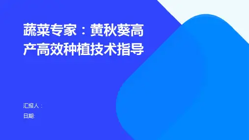 蔬菜专家：黄秋葵高产高效种植技术指导