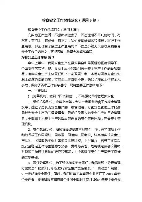 粮食安全工作总结范文（通用5篇）