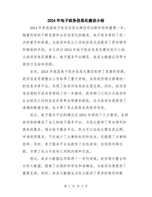 2024年电子政务信息化建设小结