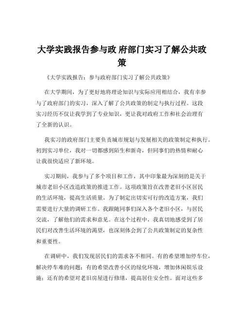 大学实践报告参与政 府部门实习了解公共政策