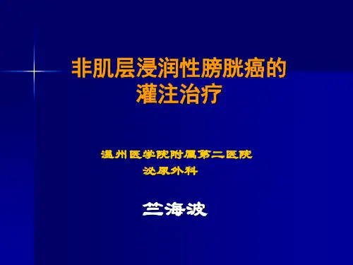 医学教学课件：非肌层浸润性膀胱癌的灌注化疗