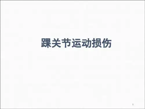 踝关节运动损伤PPT精选课件