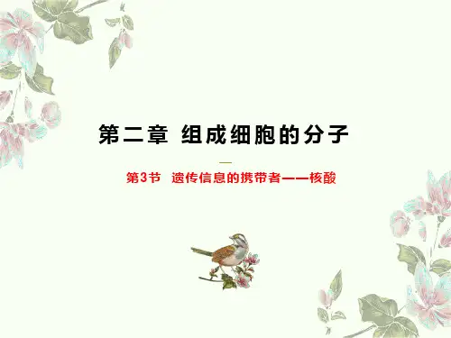 新教材高中生物精品课题第二章第3节  遗传信息的携带者—核酸