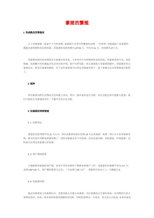 豪猪养殖