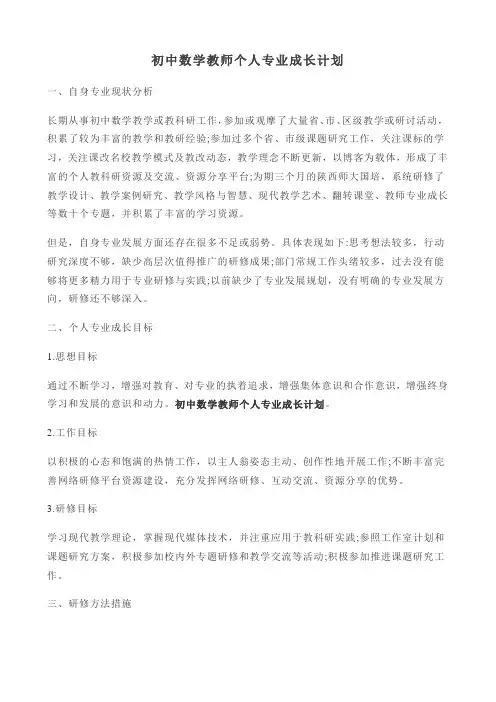 初中数学教师个人专业成长计划