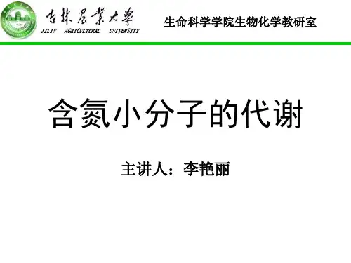 氨基酸分解代谢