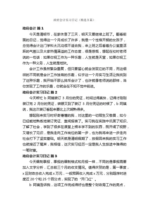 政府会计实习日记（精选3篇）