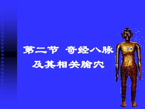 督脉经